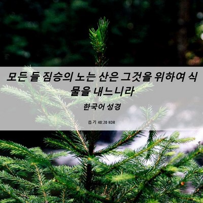 Picture 06 - 욥기 40:20 KOR - 모든 들 짐승의 노는 산은 그것을 - Bible Verse Picture