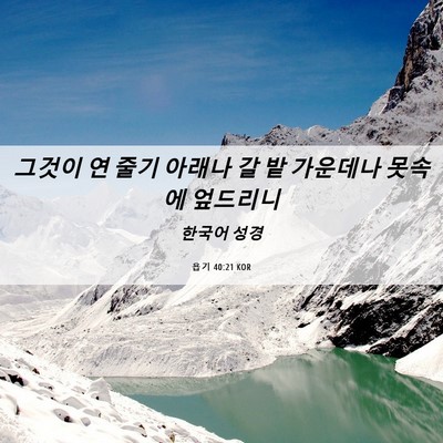 Picture 06 - 욥기 40:21 KOR - 그것이 연 줄기 아래나 갈 밭 - Bible Verse Picture