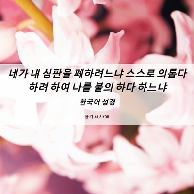 Picture 06 - 욥기 40:8 KOR - 네가 내 심판을 폐하려느냐 스스로 - Bible Verse Picture