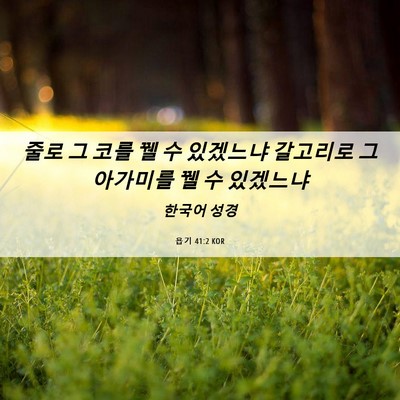 Picture 06 - 욥기 41:2 KOR - 줄로 그 코를 꿸 수 있겠느냐 - Bible Verse Picture