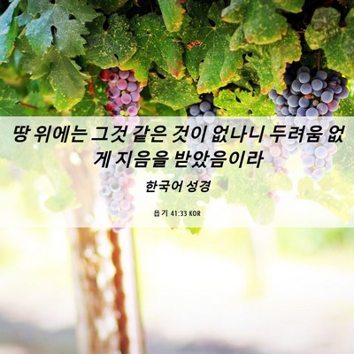 Picture 06 - 욥기 41:33 KOR - 땅 위에는 그것 같은 것이 없나니 - Bible Verse Picture