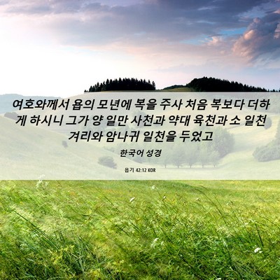 Picture 06 - 욥기 42:12 KOR - 여호와께서 욥의 모년에 복을 주사 - Bible Verse Picture