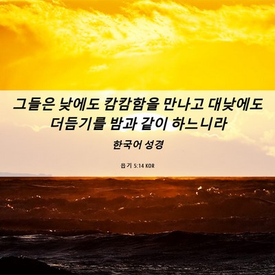 Picture 06 - 욥기 5:14 KOR - 그들은 낮에도 캄캄함을 만나고 - Bible Verse Picture