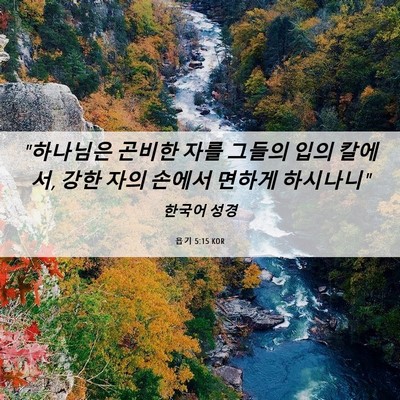 Picture 06 - 욥기 5:15 KOR - 