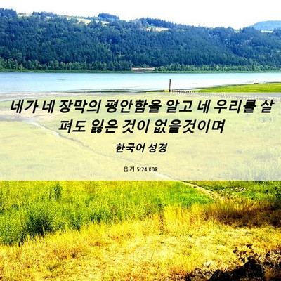 Picture 06 - 욥기 5:24 KOR - 네가 네 장막의 평안함을 알고 네 - Bible Verse Picture