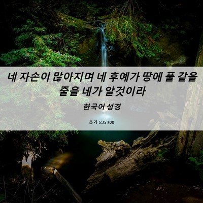 Picture 06 - 욥기 5:25 KOR - 네 자손이 많아지며 네 후예가 땅에 - Bible Verse Picture