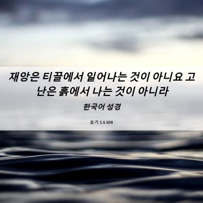 Picture 06 - 욥기 5:6 KOR - 재앙은 티끌에서 일어나는 것이 - Bible Verse Picture