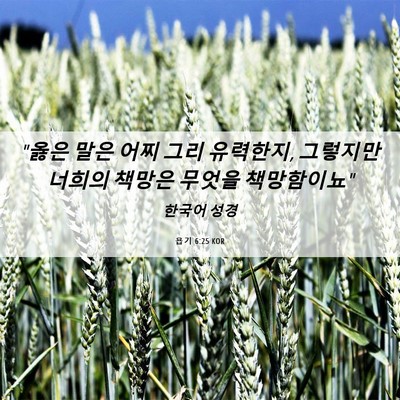 Picture 06 - 욥기 6:25 KOR - 