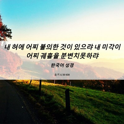 Picture 06 - 욥기 6:30 KOR - 내 혀에 어찌 불의한 것이 있으랴 내 - Bible Verse Picture