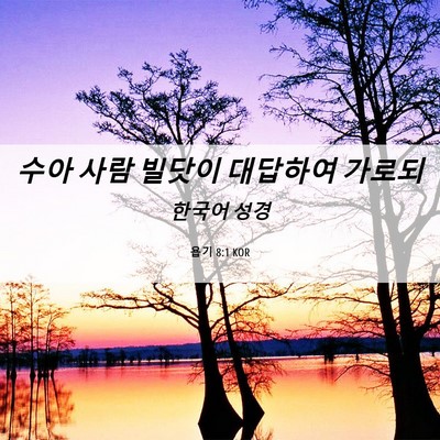 Picture 06 - 욥기 8:1 KOR - 수아 사람 빌닷이 대답하여 - Bible Verse Picture