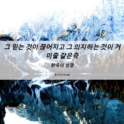 Picture 06 - 욥기 8:14 KOR - 그 믿는 것이 끊어지고 그 의지하는 - Bible Verse Picture