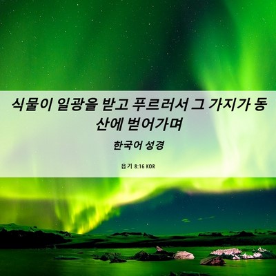 Picture 06 - 욥기 8:16 KOR - 식물이 일광을 받고 푸르러서 그 - Bible Verse Picture