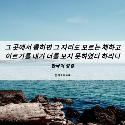 Picture 06 - 욥기 8:18 KOR - 그 곳에서 뽑히면 그 자리도 모르는 - Bible Verse Picture
