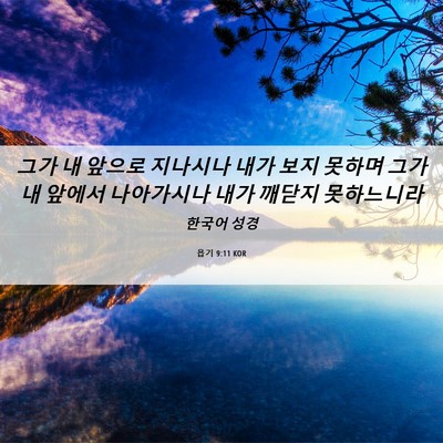 Picture 06 - 욥기 9:11 KOR - 그가 내 앞으로 지나시나 내가 보지 - Bible Verse Picture