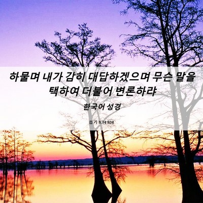 Picture 06 - 욥기 9:14 KOR - 하물며 내가 감히 대답하겠으며 무슨 - Bible Verse Picture