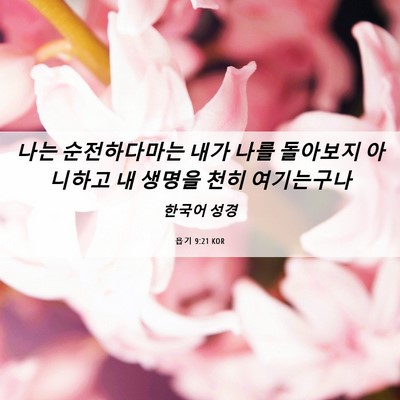 Picture 06 - 욥기 9:21 KOR - 나는 순전하다마는 내가 나를 - Bible Verse Picture
