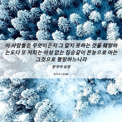 Picture 06 - 유다서 1:10 KOR - 이 사람들은 무엇이든지 그 알지 - Bible Verse Picture