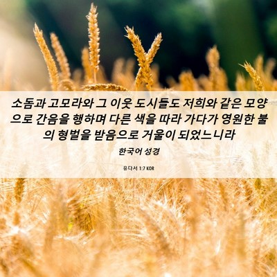 Picture 06 - 유다서 1:7 KOR - 소돔과 고모라와 그 이웃 도시들도 - Bible Verse Picture