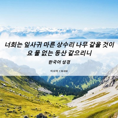 Picture 06 - 이사야 1:30 KOR - 너희는 잎사귀 마른 상수리 나무 - Bible Verse Picture