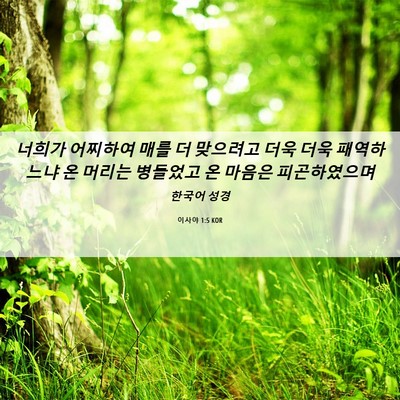 Picture 06 - 이사야 1:5 KOR - 너희가 어찌하여 매를 더 맞으려고 - Bible Verse Picture