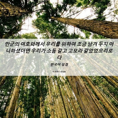 Picture 06 - 이사야 1:9 KOR - 만군의 여호와께서 우리를 위하여 - Bible Verse Picture