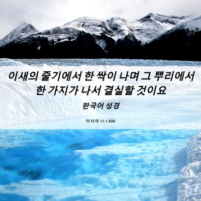 Picture 06 - 이사야 11:1 KOR - 이새의 줄기에서 한 싹이 나며 그 - Bible Verse Picture