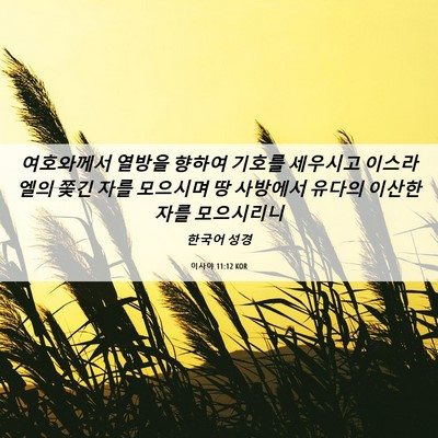 Picture 06 - 이사야 11:12 KOR - 여호와께서 열방을 향하여 기호를 - Bible Verse Picture