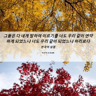 Picture 06 - 이사야 14:10 KOR - 그들은 다 네게 말하여 이르기를 - Bible Verse Picture