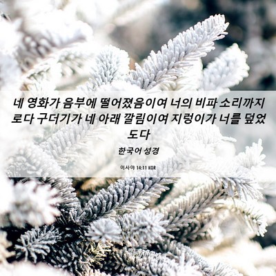 Picture 06 - 이사야 14:11 KOR - 네 영화가 음부에 떨어졌음이여 너의 - Bible Verse Picture
