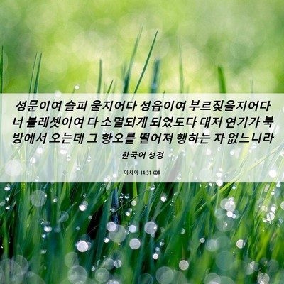 Picture 06 - 이사야 14:31 KOR - 성문이여 슬피 울지어다 성읍이여 - Bible Verse Picture