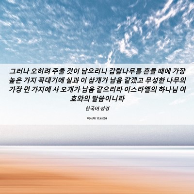 Picture 06 - 이사야 17:6 KOR - 그러나 오히려 주울 것이 남으리니 - Bible Verse Picture