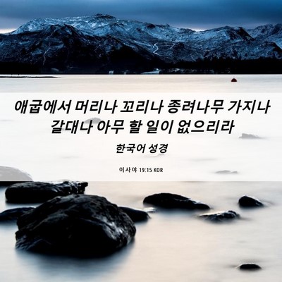Picture 06 - 이사야 19:15 KOR - 애굽에서 머리나 꼬리나 종려나무 - Bible Verse Picture