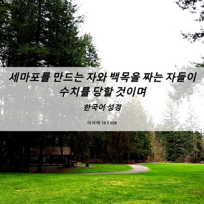 Picture 06 - 이사야 19:9 KOR - 세마포를 만드는 자와 백목을 짜는 - Bible Verse Picture
