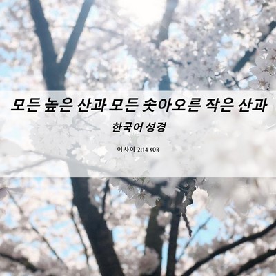 Picture 06 - 이사야 2:14 KOR - 모든 높은 산과 모든 솟아오른 작은 - Bible Verse Picture