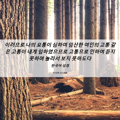 Picture 06 - 이사야 21:3 KOR - 이러므로 나의 요통이 심하여 임산한 - Bible Verse Picture