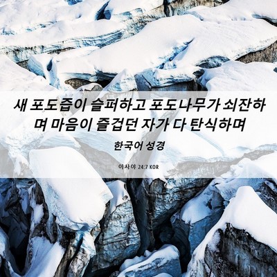 Picture 06 - 이사야 24:7 KOR - 새 포도즙이 슬퍼하고 포도나무가 - Bible Verse Picture