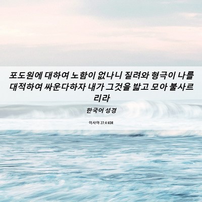 Picture 06 - 이사야 27:4 KOR - 포도원에 대하여 노함이 없나니 - Bible Verse Picture