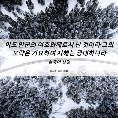 Picture 06 - 이사야 28:29 KOR - 이도 만군의 여호와께로서 난 것이라 - Bible Verse Picture
