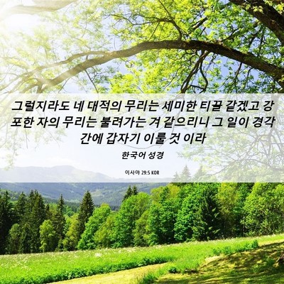 Picture 06 - 이사야 29:5 KOR - 그럴지라도 네 대적의 무리는 세미한 - Bible Verse Picture