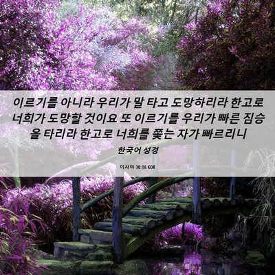 Picture 06 - 이사야 30:16 KOR - 이르기를 아니라 우리가 말 타고 - Bible Verse Picture