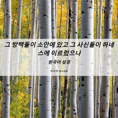 Picture 06 - 이사야 30:4 KOR - 그 방백들이 소안에 있고 그 - Bible Verse Picture