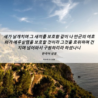 Picture 06 - 이사야 31:5 KOR - 새가 날개치며 그 새끼를 보호함 - Bible Verse Picture
