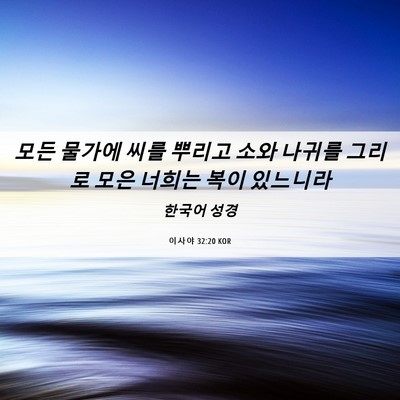Picture 06 - 이사야 32:20 KOR - 모든 물가에 씨를 뿌리고 소와 - Bible Verse Picture