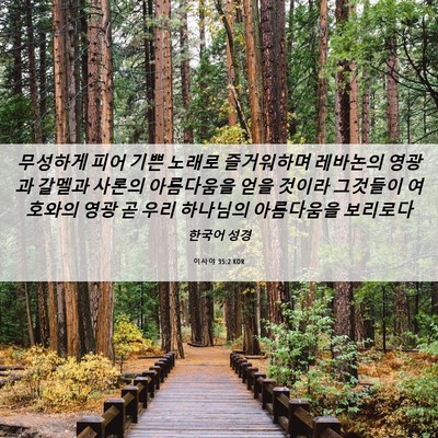 Picture 06 - 이사야 35:2 KOR - 무성하게 피어 기쁜 노래로 - Bible Verse Picture