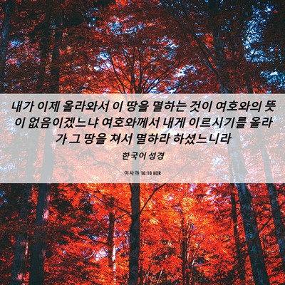 Picture 06 - 이사야 36:10 KOR - 내가 이제 올라와서 이 땅을 멸하는 - Bible Verse Picture