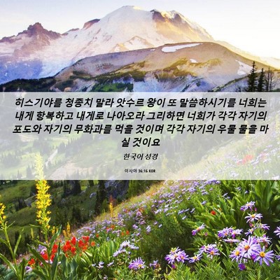 Picture 06 - 이사야 36:16 KOR - 히스기야를 청종치 말라 앗수르 왕이 - Bible Verse Picture