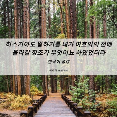 Picture 06 - 이사야 38:22 KOR - 히스기야도 말하기를 내가 여호와의 - Bible Verse Picture