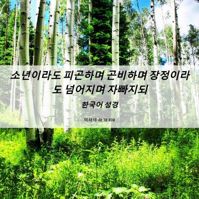 Picture 06 - 이사야 40:30 KOR - 소년이라도 피곤하며 곤비하며 - Bible Verse Picture