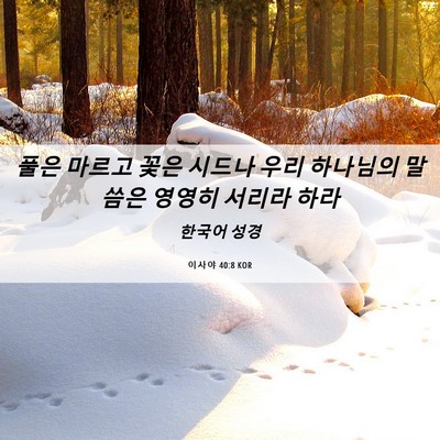Picture 06 - 이사야 40:8 KOR - 풀은 마르고 꽃은 시드나 우리 - Bible Verse Picture