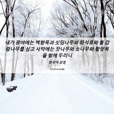 Picture 06 - 이사야 41:19 KOR - 내가 광야에는 백향목과 싯딤나무와 - Bible Verse Picture